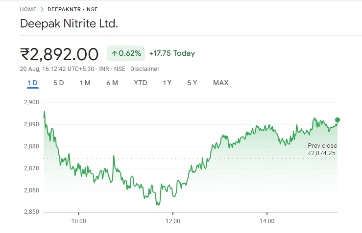 Deepak Nitrite Share Price Graph