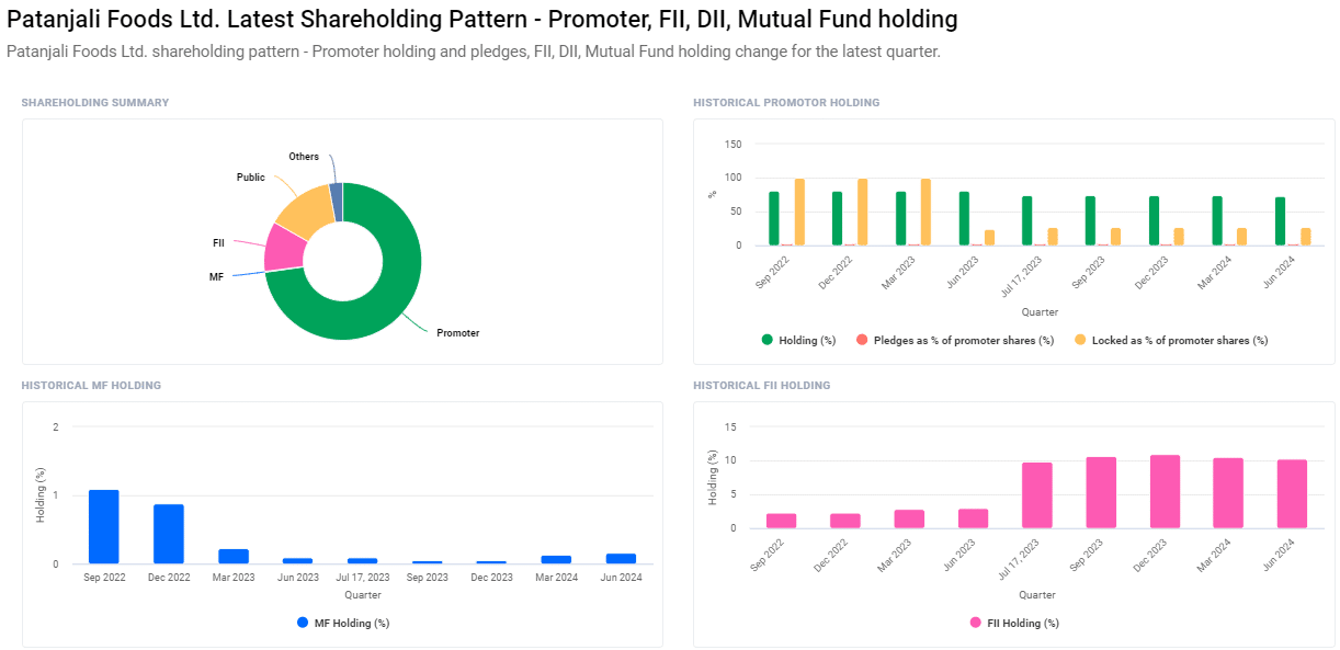 Patanjali Food Ltd. Shareholding Pattern