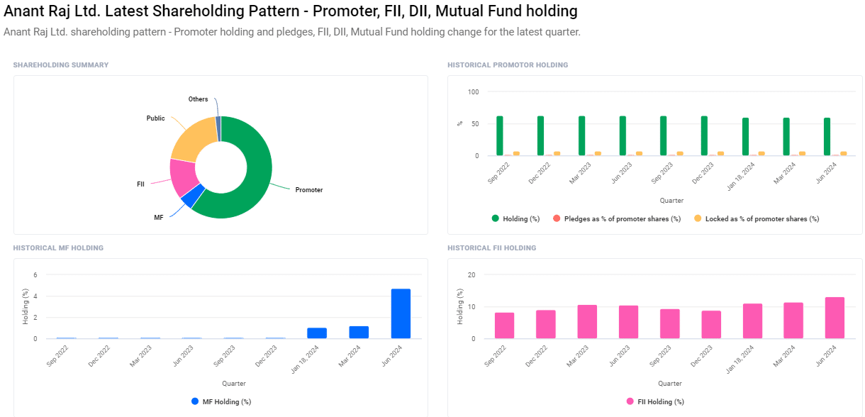 Shareholding Pattern For Anant Raj Share Price