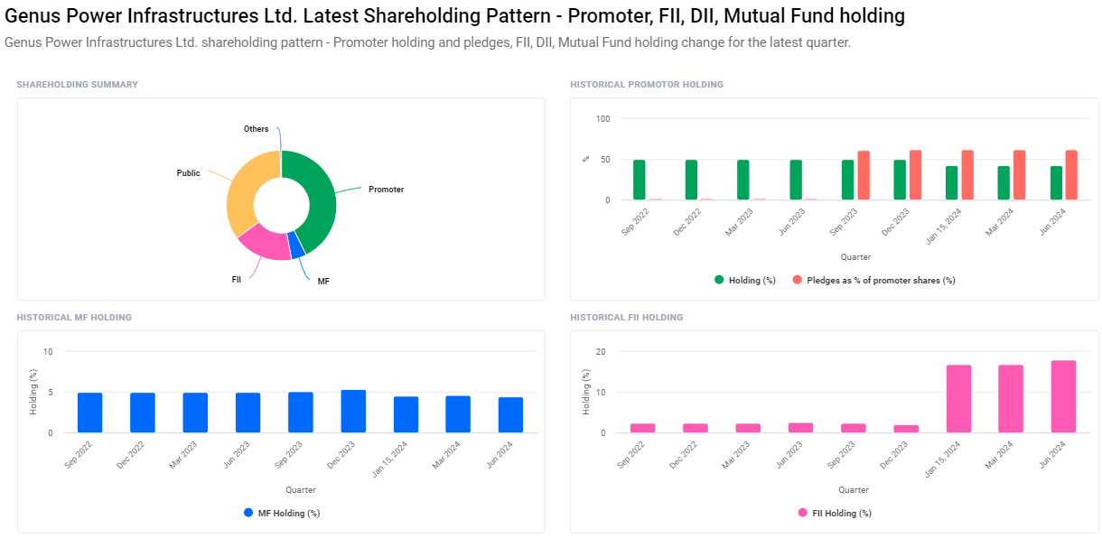 Shareholding Pattern For Genus Power Share Price