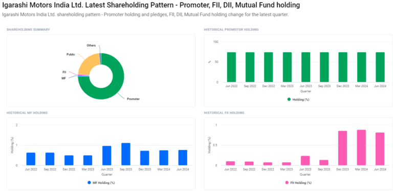 Shareholding Pattern For Igarashi Motors Share Price