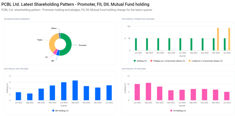 Shareholding Pattern For PCBL Share Price