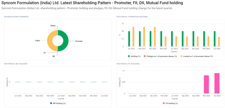 Shareholding Pattern For Syncom Formulations Share Price