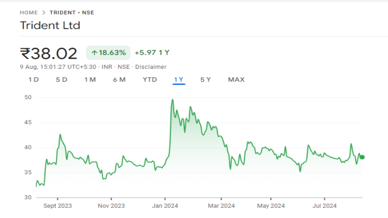 Trident Share Price