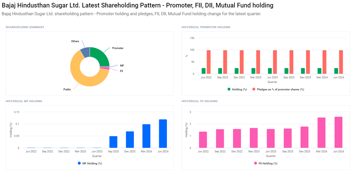 Bajaj Hindusthan Sugar Shareholding Pattern