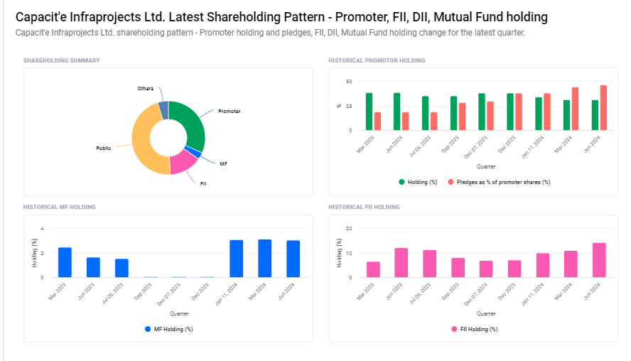 Capacite Infraprojects Ltd Shareholding Pattern