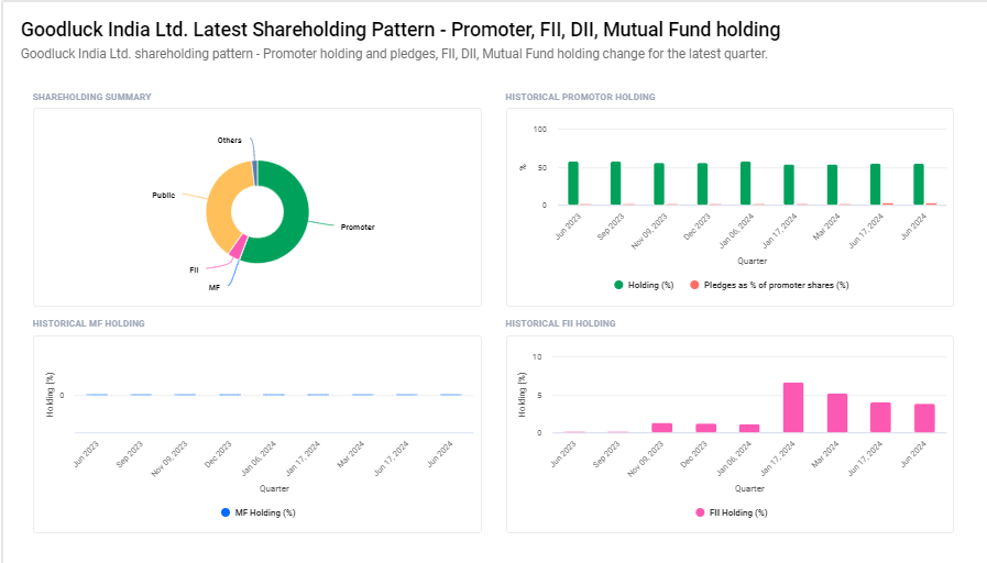 Good Luck Ltd Shareholding Pattern