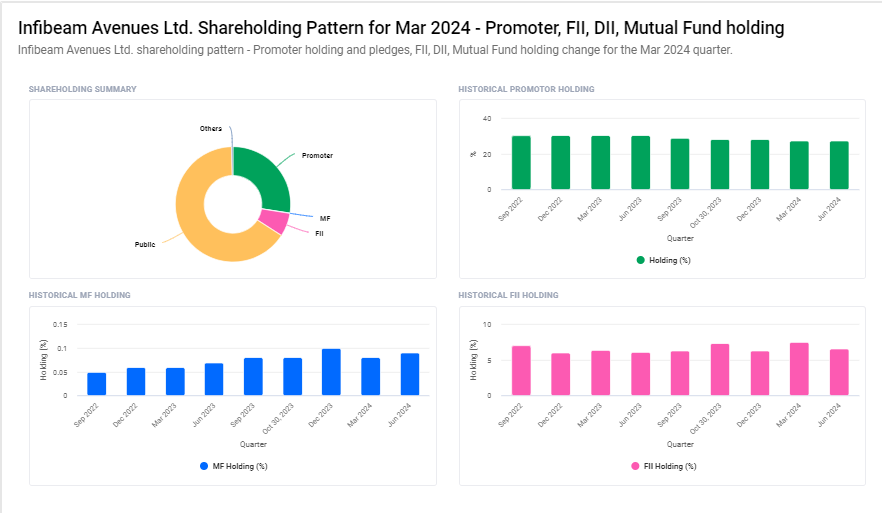 Infibeam Avenues Ltd. Shareholding Pattern