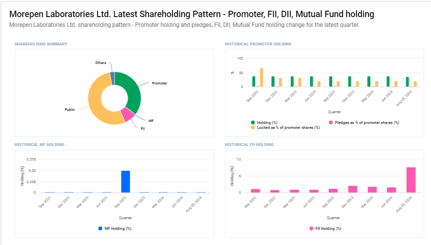 Morepen Laboratories Ltd Shareholding Pattern