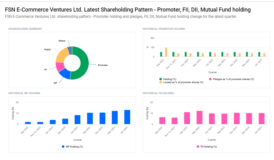 NYKAA Shareholding Pattern