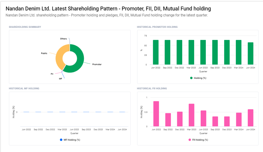 Nandan Denim Ltd Shareholding Pattern