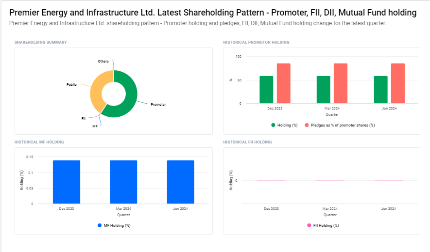 Premier Energies Ltd Shareholding Pattern