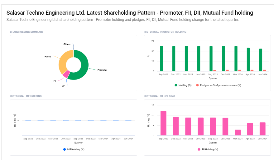 Salasar Techno Engineering Ltd Shareholding Pattern