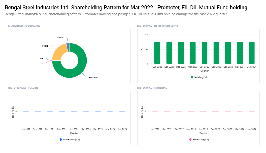 Bengal Steel Industries Ltd Shareholding Pattern