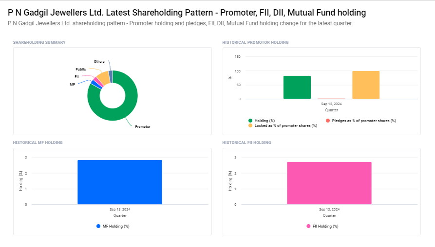 P N Gadgil Jewellers Ltd Shareholding Pattern