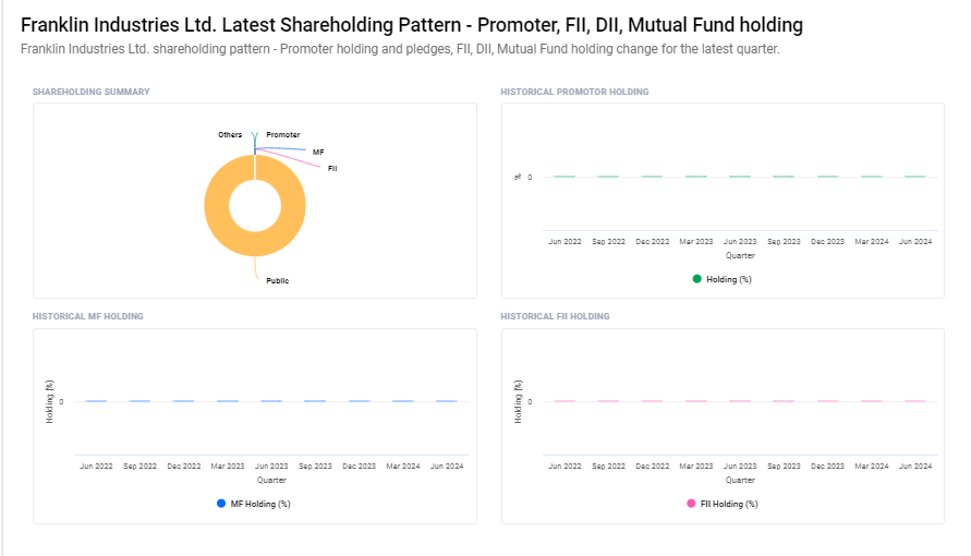 Shareholding Pattern For Franklin Industries