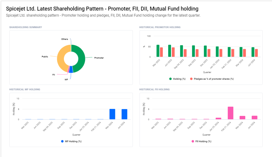 Spicejet Ltd Shareholding Pattern